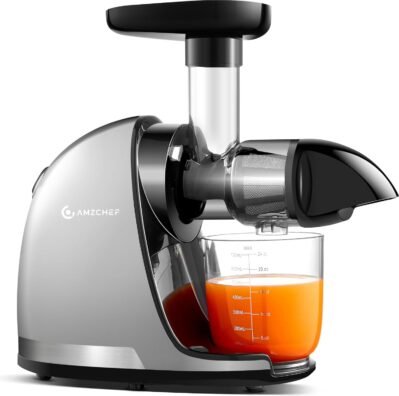 Amzchef Juicer Small-スロージューサー – 野菜と果物の咀asticジューサー – フィルターは不要-BPAフリージュース抽出器、2カップ、ブラシが含まれています – グレー