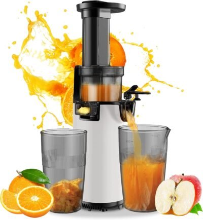 ASEKI スロージューサー 分別絞り器 低速 ジューサー 小型ミキサー 高果汁率 酸化 コンパクト 果物 野菜 ビタミン 酵素 鮮度キープ フレッシュジュース レシピ付き