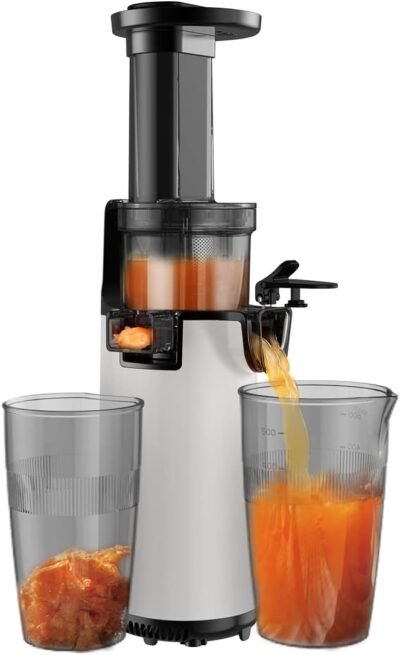 ゆっくりとジューサー、スクイーザーの分離、ゆっくりした回転、ジューサー、小さなミキサー、ハイジュース比、酸化、コンパクト、果物、野菜、ビタミン、酵素、新鮮なキープ、新鮮なジュース、レシピ