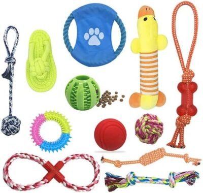 ウェルビー犬のおもちゃ、12個のセット、ペット用品、犬、ボール、ロープ、ニンジン、ボール、ペット商品、餌、噛むおもちゃ、プル、教育おもちゃ、エクササイズの欠如、ストレス救済、子犬、小型犬、中犬、大きい