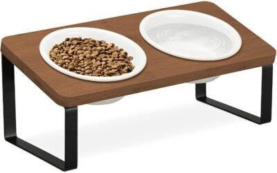 鉄のフレーム付きアスフチェット猫ボウルスロープ15度頸椎保護猫猫ボウルキャットボウルボウル竹猫ボウル猫用ボウルセラミックフードボウル2匹のスナック料理