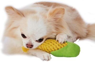 ペチオ犬のおもちゃ編みコーン歯科