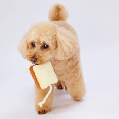 ペチオ犬のおもちゃ、粘着性のパン屋、パン