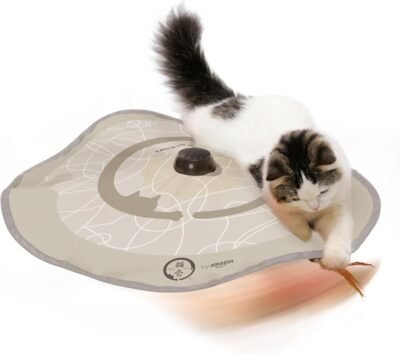 Amazon Cat Ichiは、2匹のCat Circleパターン(Amazon Exclusive Design)(Necoro)ができれば私を捕まえます