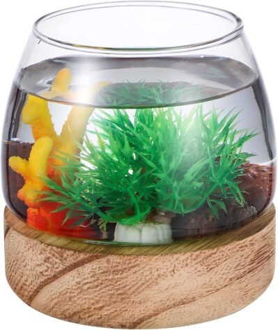 iPlusmile Fishbowl、小さな水族館、ガラス、透明な容器、丸いタートル、テーブル、ボウル、水栽培、スタイリッシュ、金魚、花瓶、花の基部、メダリオン工場、家庭植物、インテリア装飾
