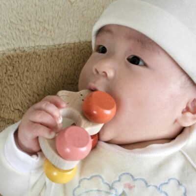 快適なテクスチャー(赤ちゃんに優しい木製のおもちゃ)、日本のおもちゃ、賞を受賞したおもちゃ、歯、おしゃべり、ガラガラ、木製のおもちゃ、車、ガラガラ、ラトル、車