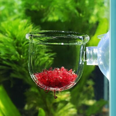 Vgebyフィーダーフィーダーカップ栽培カップ植物カップフィーダー給餌トレイエビフライ赤ワームトロピカルフィッシュレッドバグベイトトレイ水族館水族館水族館(ガラス、楕円形の穴)