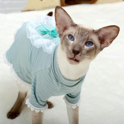 uosia sphinx毛むレス猫セーター通気性ニットニットニット猫服ペットレースTシャツヘアキャットアパレルキッテンシャツスフィンクスコーニッシュレックス、デボンレックス、ピーターバルド