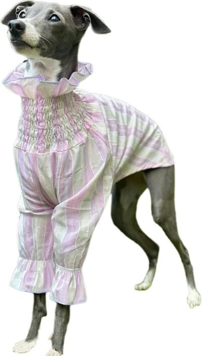 uosiaイタリアのグレイハウンドシャツかわいい女の子犬tシャツソフトクールドッグプルオーバー長袖ストライプ通気性犬アパレル春夏犬パジャマパジャマ