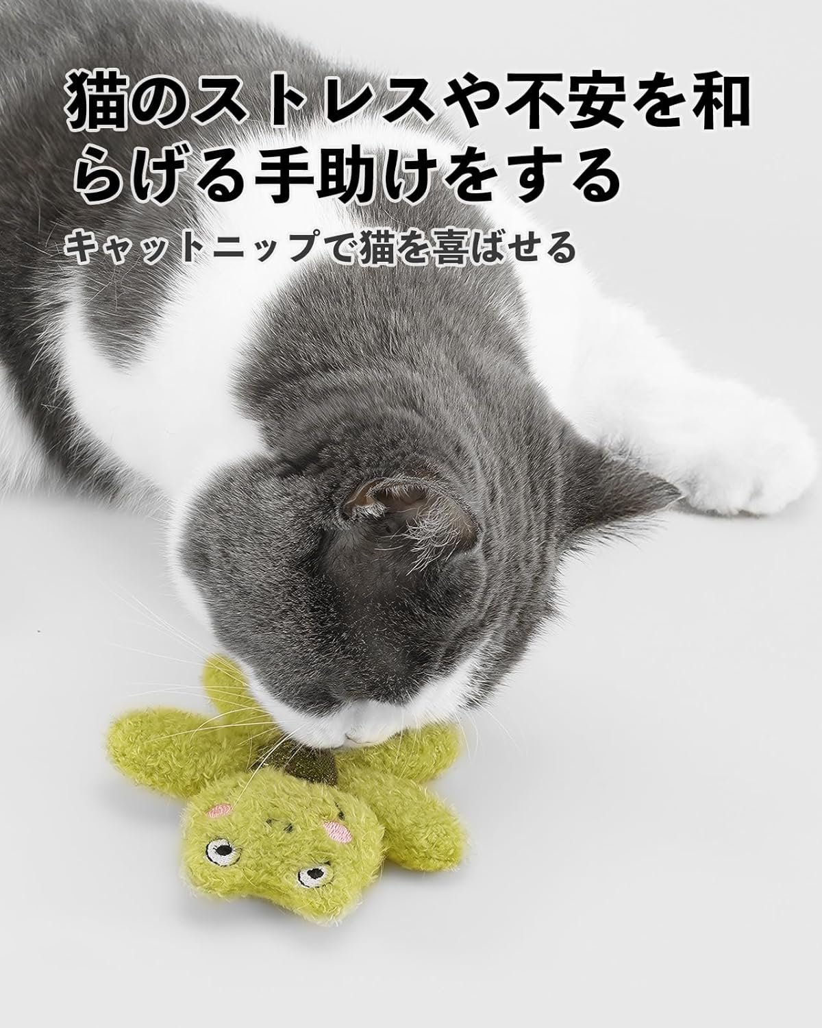 猫のおもちゃ、猫のおもちゃ、キャットニップ、リアルでかわいい動物のキャラクター、複数の選択猫、猫のおもちゃを和らげるための猫のおもちゃ(a:緑 - カエル) - 이미지 3