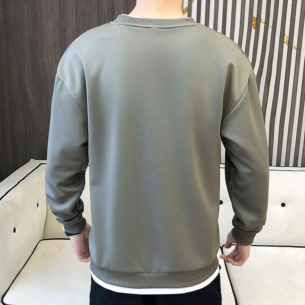 fjltdcpパーカー、メンズ秋の服、長袖、プルオーバー、Tシャツ、ルーズフィット、トレーナー、トップ、ラウンドカラー、ソフト、カジュアル、ファッショナブル、大きなサイズ、春、秋、冬の服 - 이미지 4