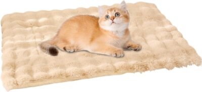 猫マットベッド、犬ベッドマット | 犬猫用家具ペットソファマット -ペットベッドパッド、冬用保温猫犬ベッドマット、室内猫用猫ウォーマーマット