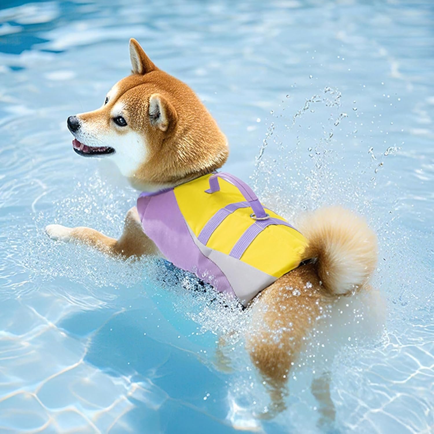 犬用スイミングベスト -犬用スイミングライフベスト| 調整可能防水デザイン防水デザイン - 이미지 9