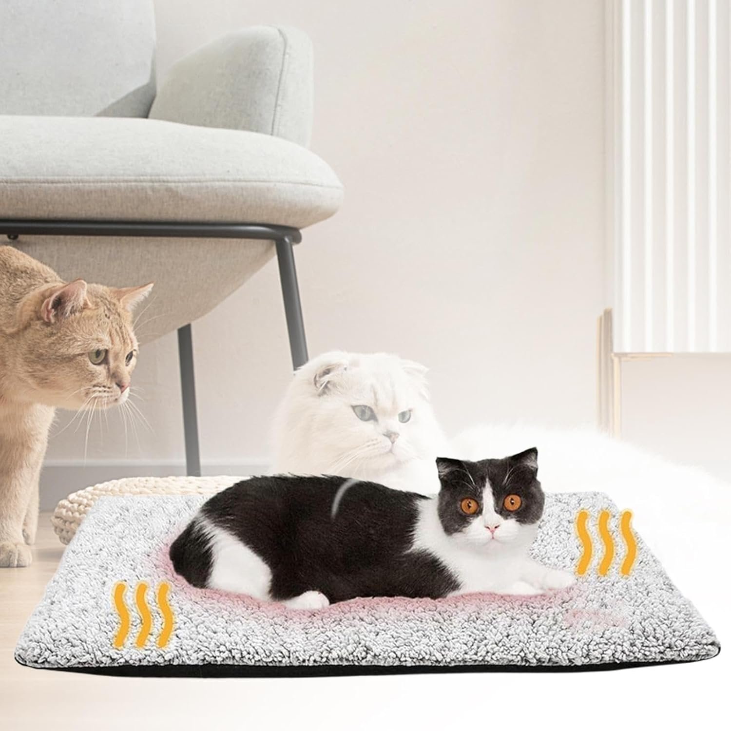 犬用温熱マット、静音猫用ヒーターベッド、ペットの猫用自己発熱サーマルパッド| 滑り止め底、家具、ソファ、床、ペットベッド、屋外猫小屋用の厚みのある犬用ベッドマット - 이미지 3