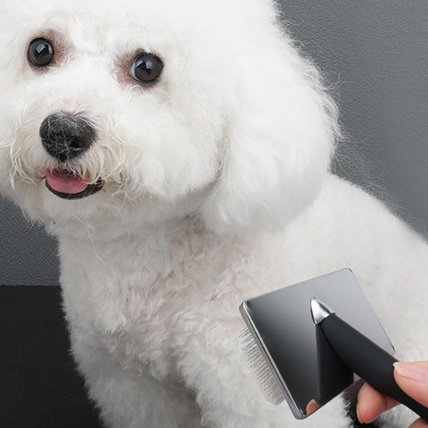 グルーミング用の犬のブラシ、ペットのグルーミングブラシ、ペットブラシ犬のグルーミング用品、マッサージメタルニードルコーム、猫の脱脱ツールアンダーコートレーキの脱毛、ゆるいアンダーコートを取り除く - 이미지 9