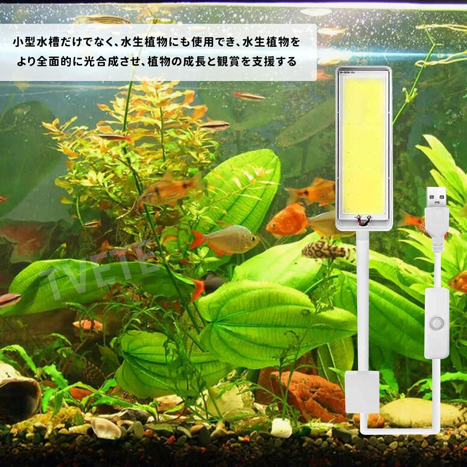 TVETE水草育成ライト小型水槽usb usbアクアリウムアクアリウムアクアリウム白い光】led - 이미지 4