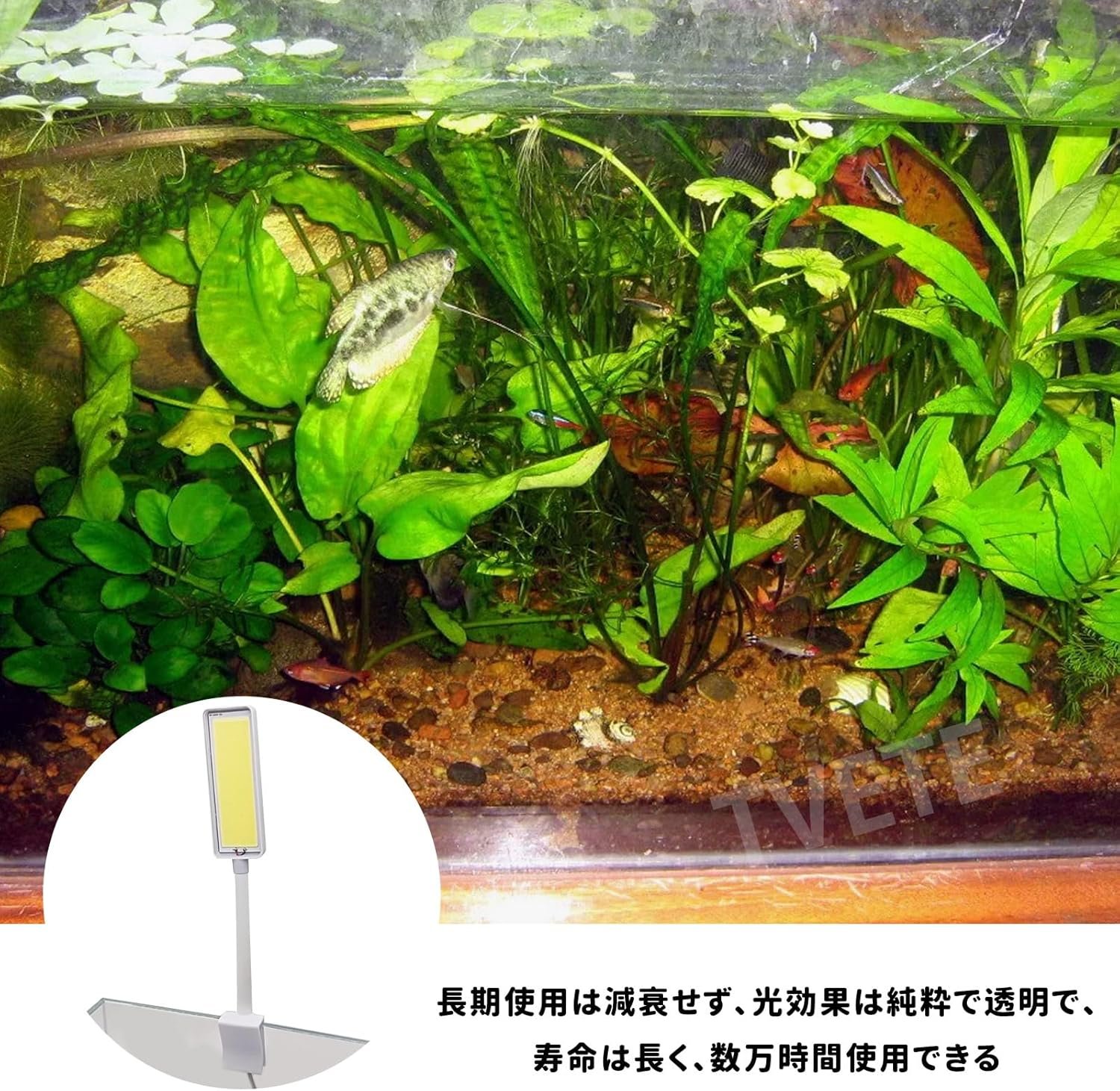 TVETE水草育成ライト小型水槽usb usbアクアリウムアクアリウムアクアリウム白い光】led - 이미지 3