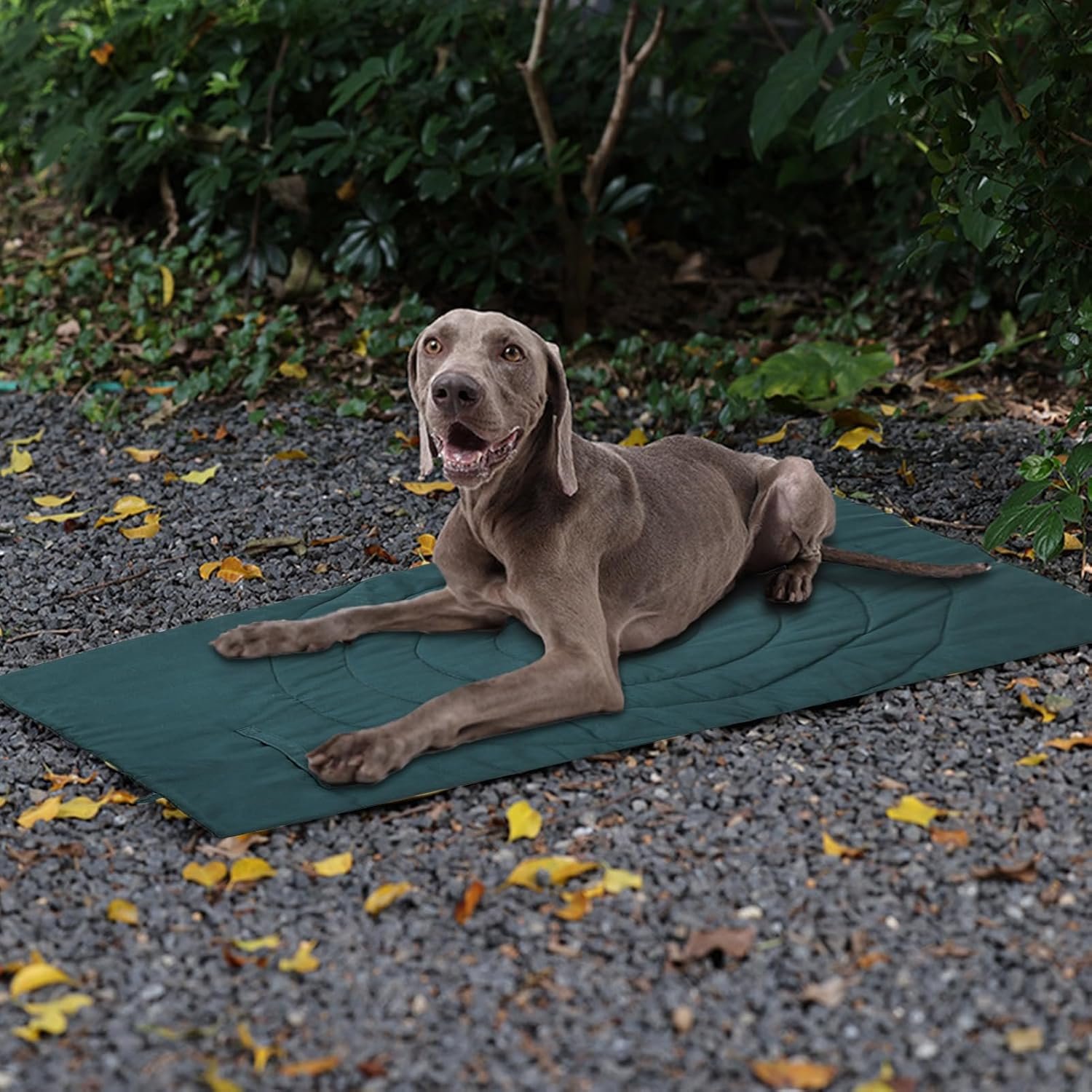 犬の敷物 -折りたたみ可能な犬のパッド濃厚 -防水犬のマット、犬用の洗えるペットパッド、屋内猫、季節これらの柔らかく居心地の良い犬を投げる毛布で、あなたの車の座席、木枠、床を傷や汚れから保護します。それらは洗浄して乾燥しやすく、家具、ソファ、ベッドを清潔で新鮮に保つこともできます。 - 이미지 8