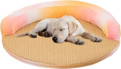 犬用冷却パッド、取り外し可能な冷却猫用ベッド – 居間寝室オフィスパティオ裏庭用猫用ソファチェア家具