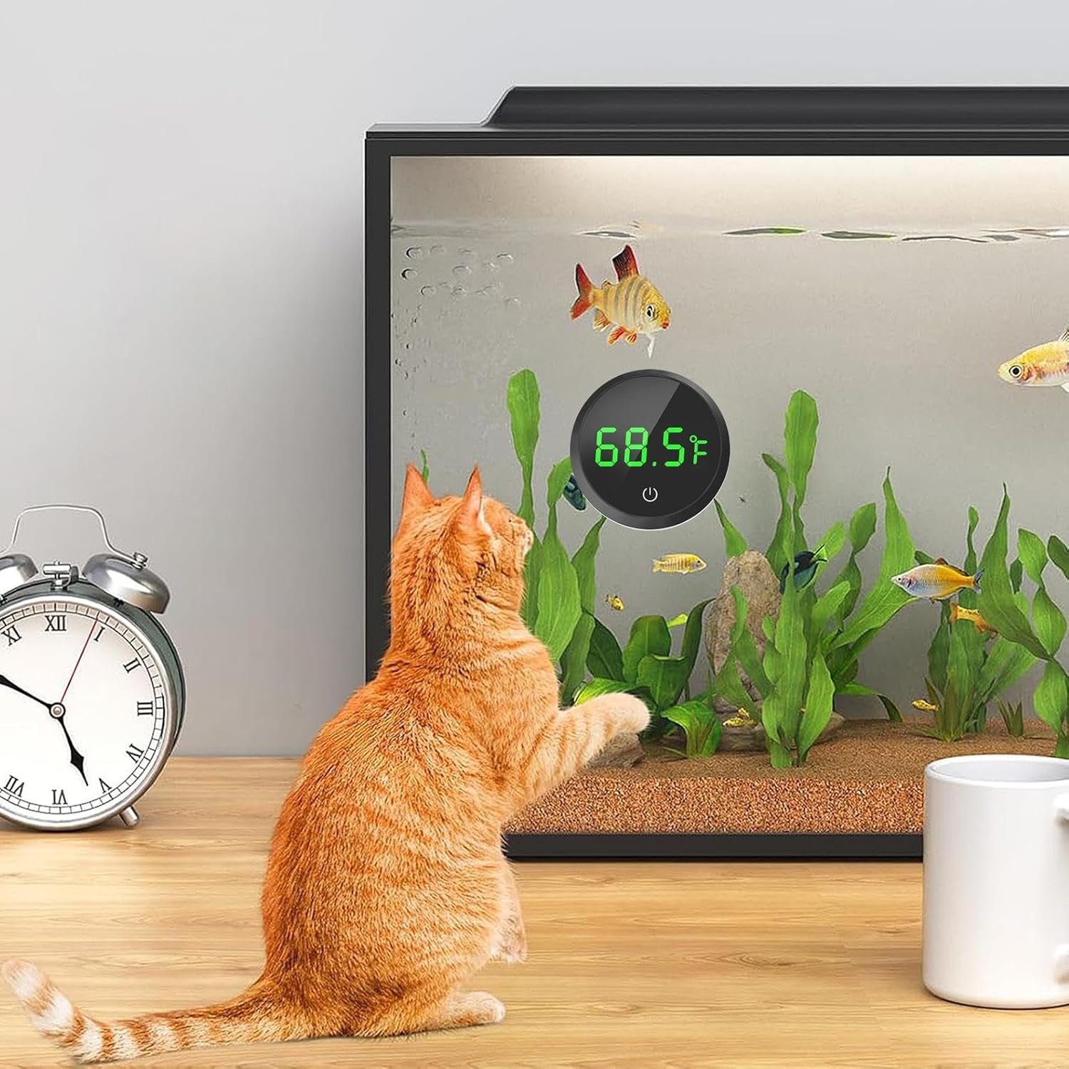 フィッシュポット温度センサー、高精度の水族館熱鏡| LED温度センサー|トロピカルフィッシュポット、水族館水槽爬虫類テラリウム熱鏡 - 이미지 2