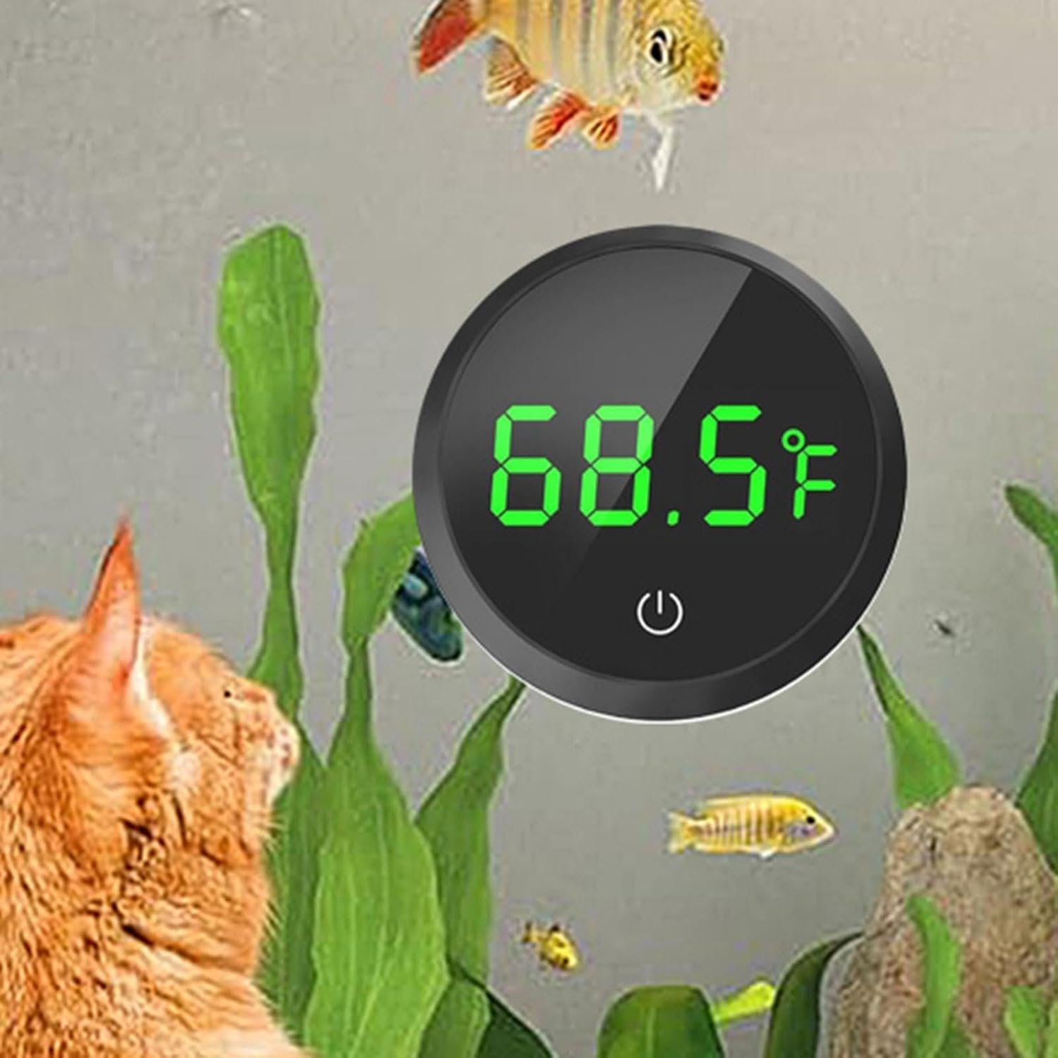 フィッシュポット温度センサー、高精度の水族館熱鏡| LED温度センサー|トロピカルフィッシュポット、水族館水槽爬虫類テラリウム熱鏡 - 이미지 9