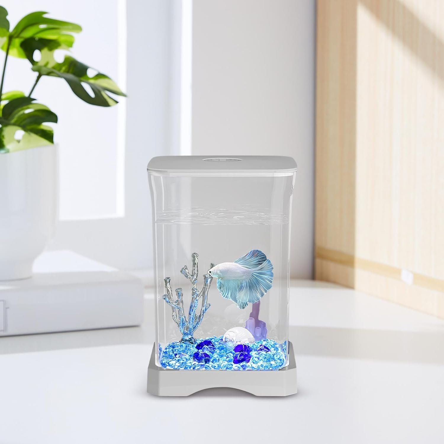 固体水族館、固体水槽|ソリッド水槽HD小さな水族館、魚のボウル、小さな水族館装飾、水槽のスターター、LEDライト、ホームオフィス、アパート、キッチン、スタディルーム - 이미지 2