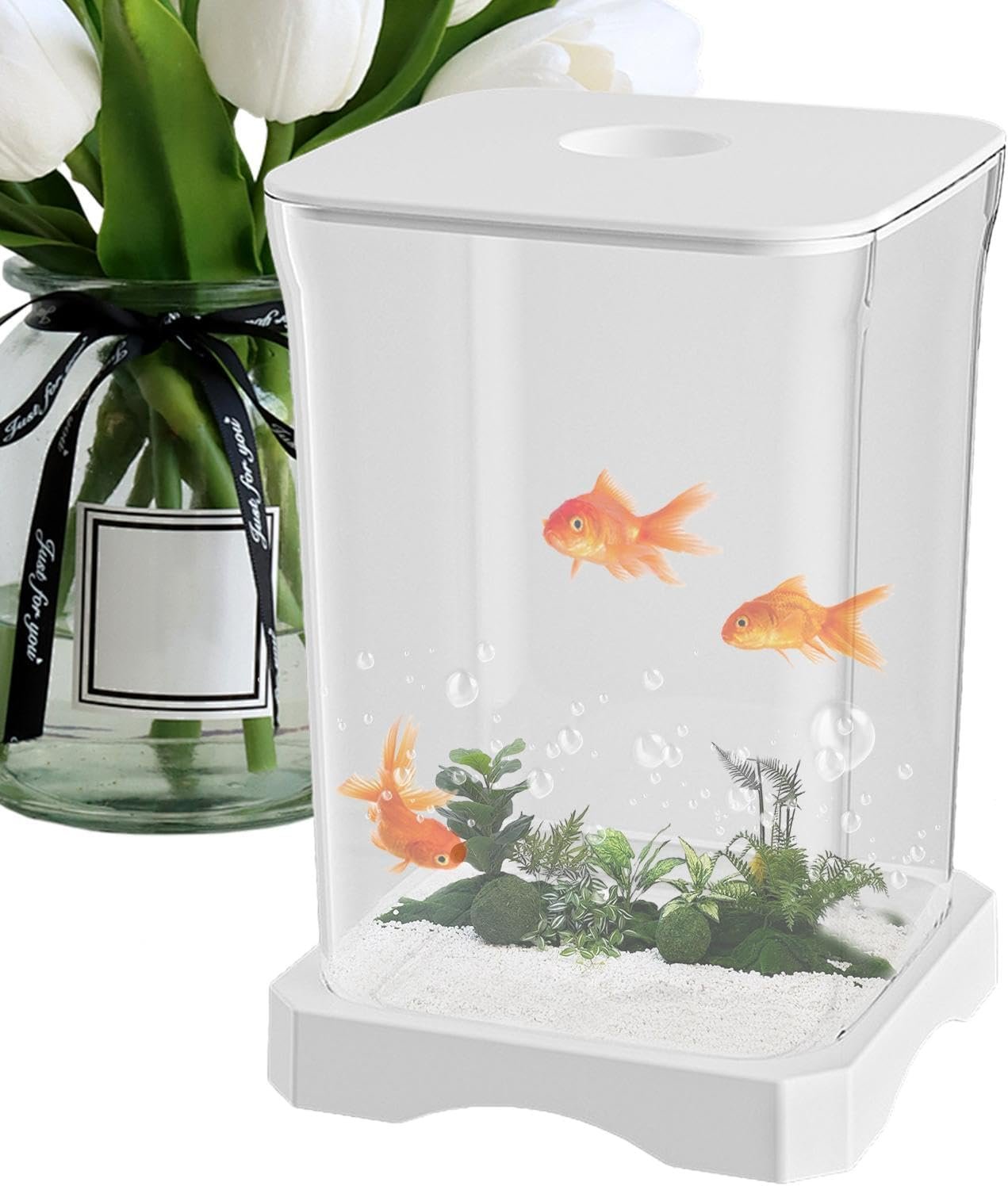 固体水族館、固体水槽|ソリッド水槽HD小さな水族館、魚のボウル、小さな水族館装飾、水槽のスターター、LEDライト、ホームオフィス、アパート、キッチン、スタディルーム