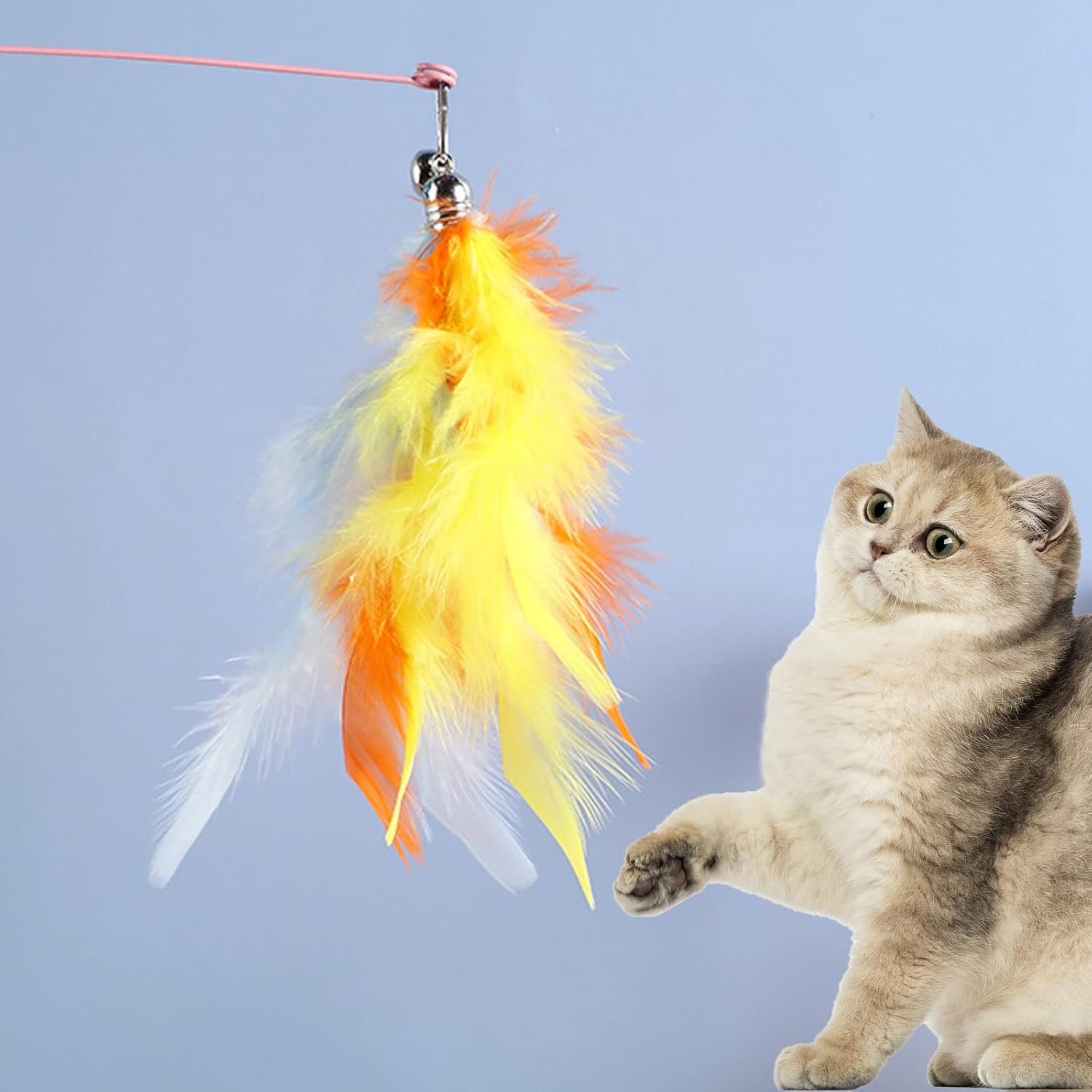 猫のおもちゃ、猫のおもちゃ、ベル付きの自然な羽のおもちゃ、6つのカラフルな交換用の羽、1つの釣り竿、猫用品、人気セット7 - 이미지 4