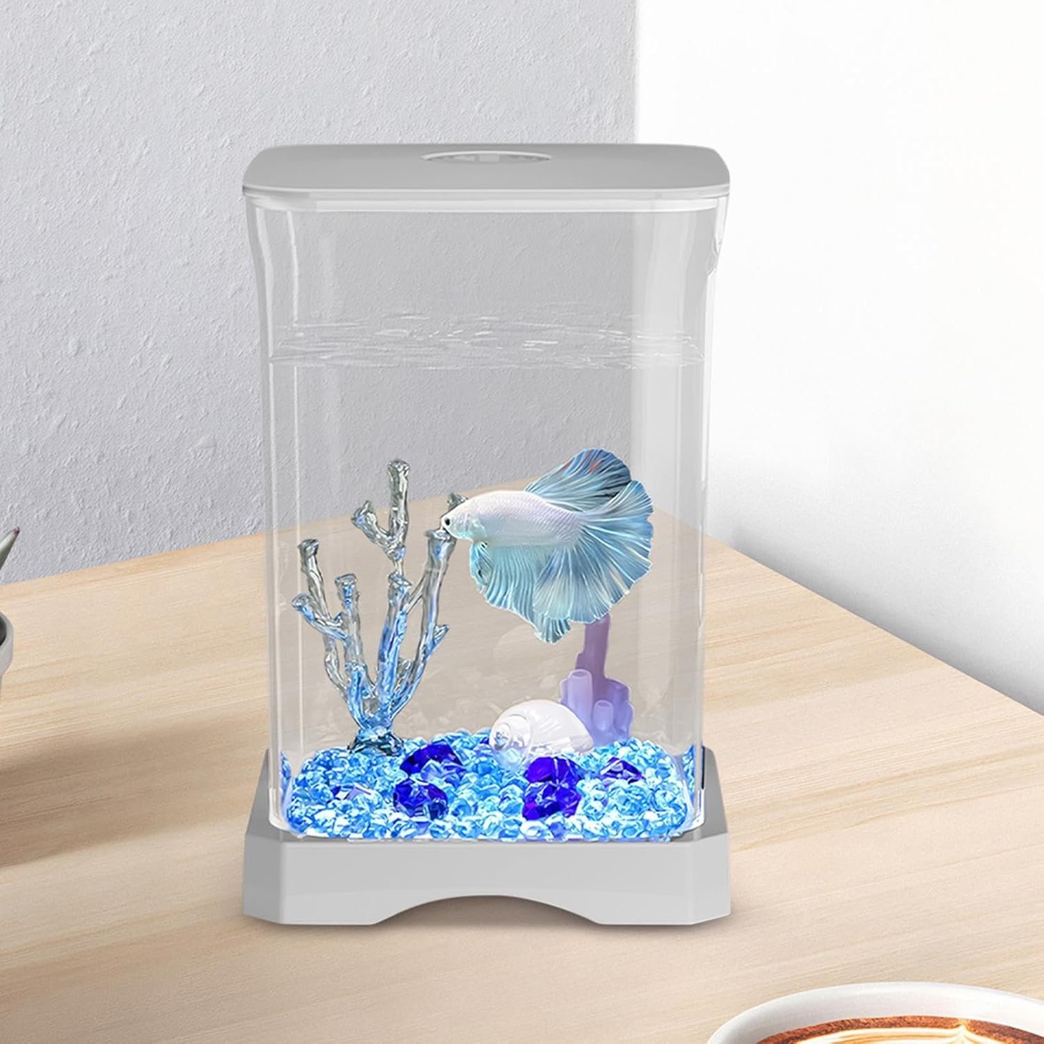 固体水族館、固体水槽|ソリッド水槽HD小さな水族館、魚のボウル、小さな水族館装飾、水槽のスターター、LEDライト、ホームオフィス、アパート、キッチン、スタディルーム - 이미지 3