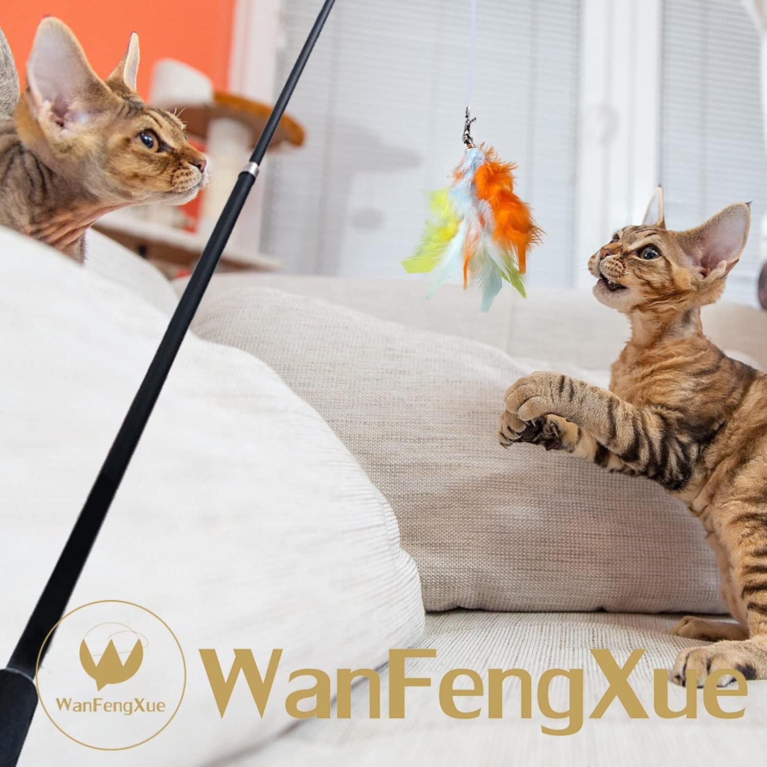 猫のおもちゃ、猫のおもちゃ、ベル付きの自然な羽のおもちゃ、6つのカラフルな交換用の羽、1つの釣り竿、猫用品、人気セット7 - 이미지 5