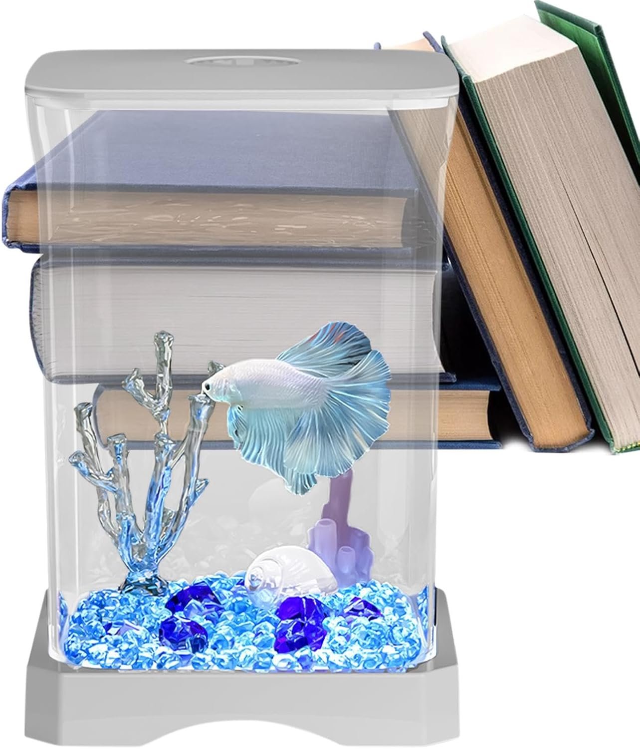 固体水族館、固体水槽|ソリッド水槽HD小さな水族館、魚のボウル、小さな水族館装飾、水槽のスターター、LEDライト、ホームオフィス、アパート、キッチン、スタディルーム - 이미지 9