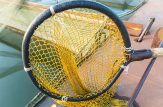 どのタイプのネットが魚を扱うのに最適に機能しますか?
