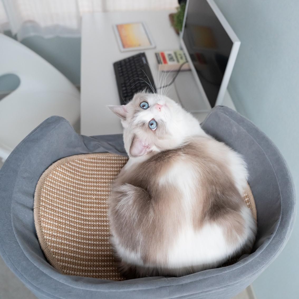 LOE 猫ベッド用サイザル麻マットのみ交換用 (SP020-36) - 이미지 3