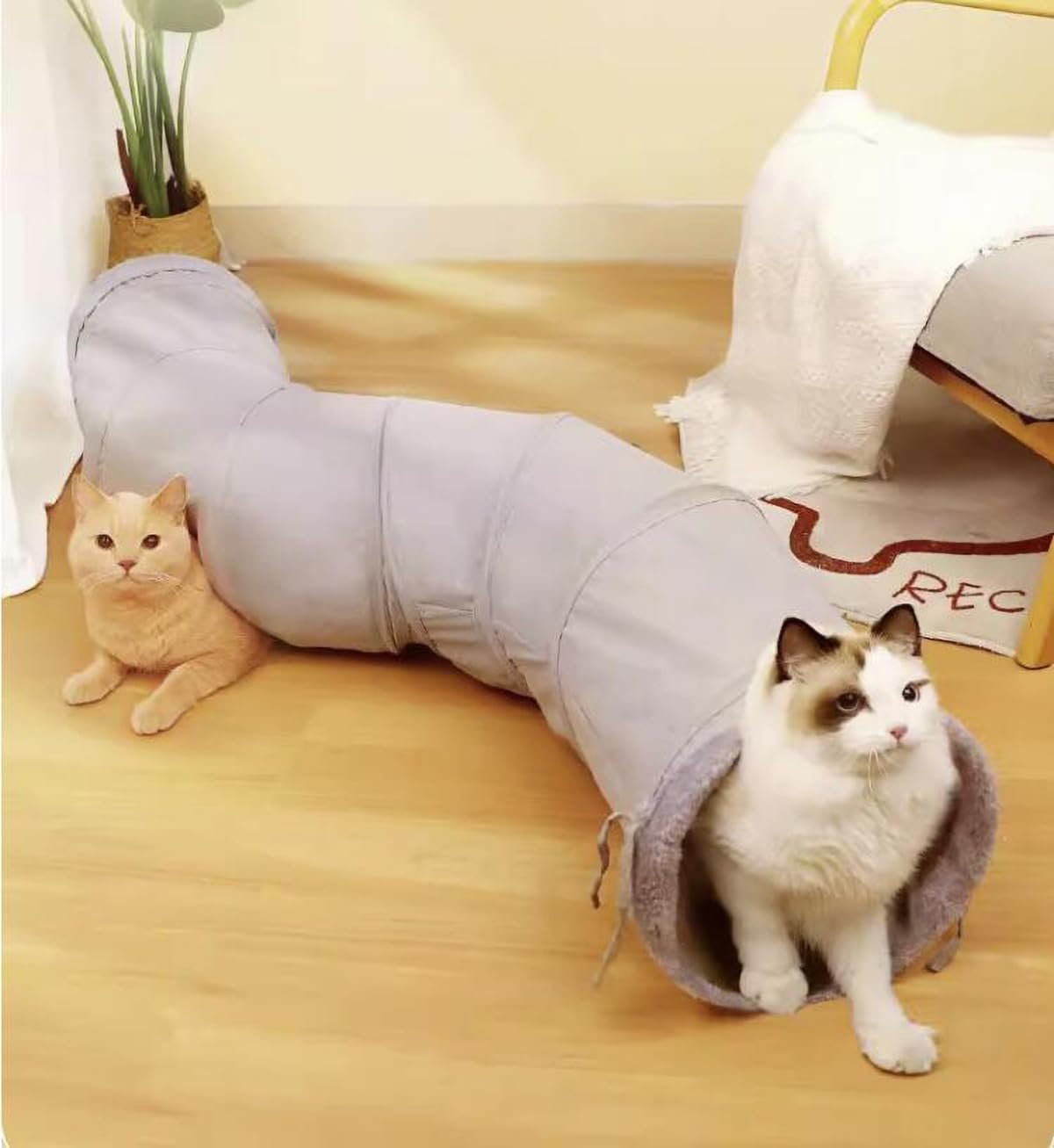 KANSITA 猫トンネル S字型 猫おもちゃ 猫トンネル 4スロット 折りたたみ猫プレイハウス ストレス解消 収納便利 ペットトンネル スエード 面白い隠しトンネルおもちゃ 簡易包装 - 이미지 4