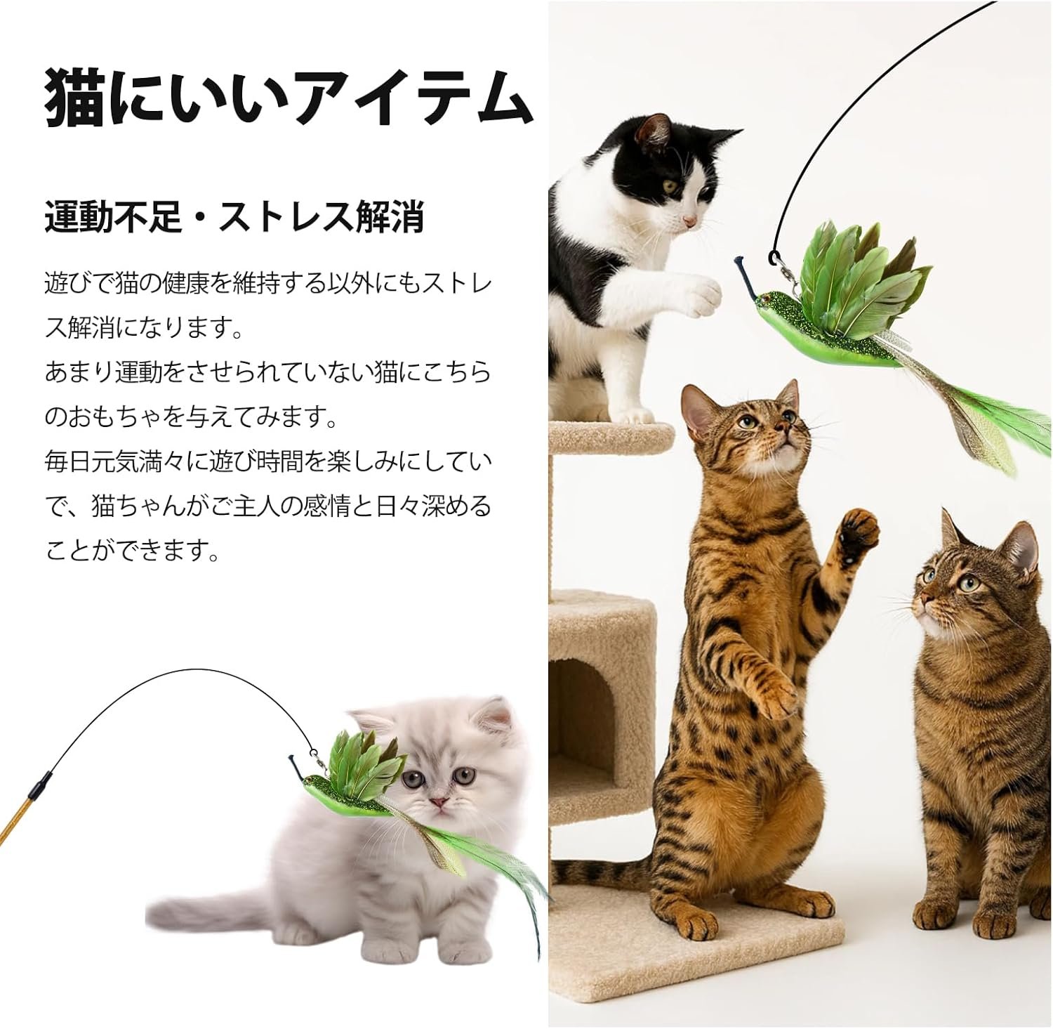 GHOSTCAT 猫おもちゃ ハチドリ 猫おもちゃ 天然羽根 猫おもちゃ 猫指 一人遊び 鈴付き 釣り竿付き 耐久性 運動不足解消 猫おもちゃ ペット用品 グリーン - 이미지 6