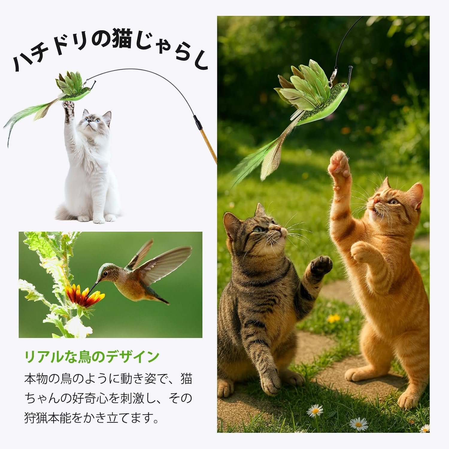 GHOSTCAT 猫おもちゃ ハチドリ 猫おもちゃ 天然羽根 猫おもちゃ 猫指 一人遊び 鈴付き 釣り竿付き 耐久性 運動不足解消 猫おもちゃ ペット用品 グリーン - 이미지 2