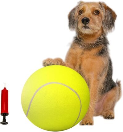 犬用のPAWエクスプローラービッグボール| 9.4インチ(24 cm)、インフレータブルビッグボール、ボールプレイ、弾力、柔らかい、テニスボール、大きな犬、中犬、小さな犬、スタイリッシュ、パウロウ、アウトドア