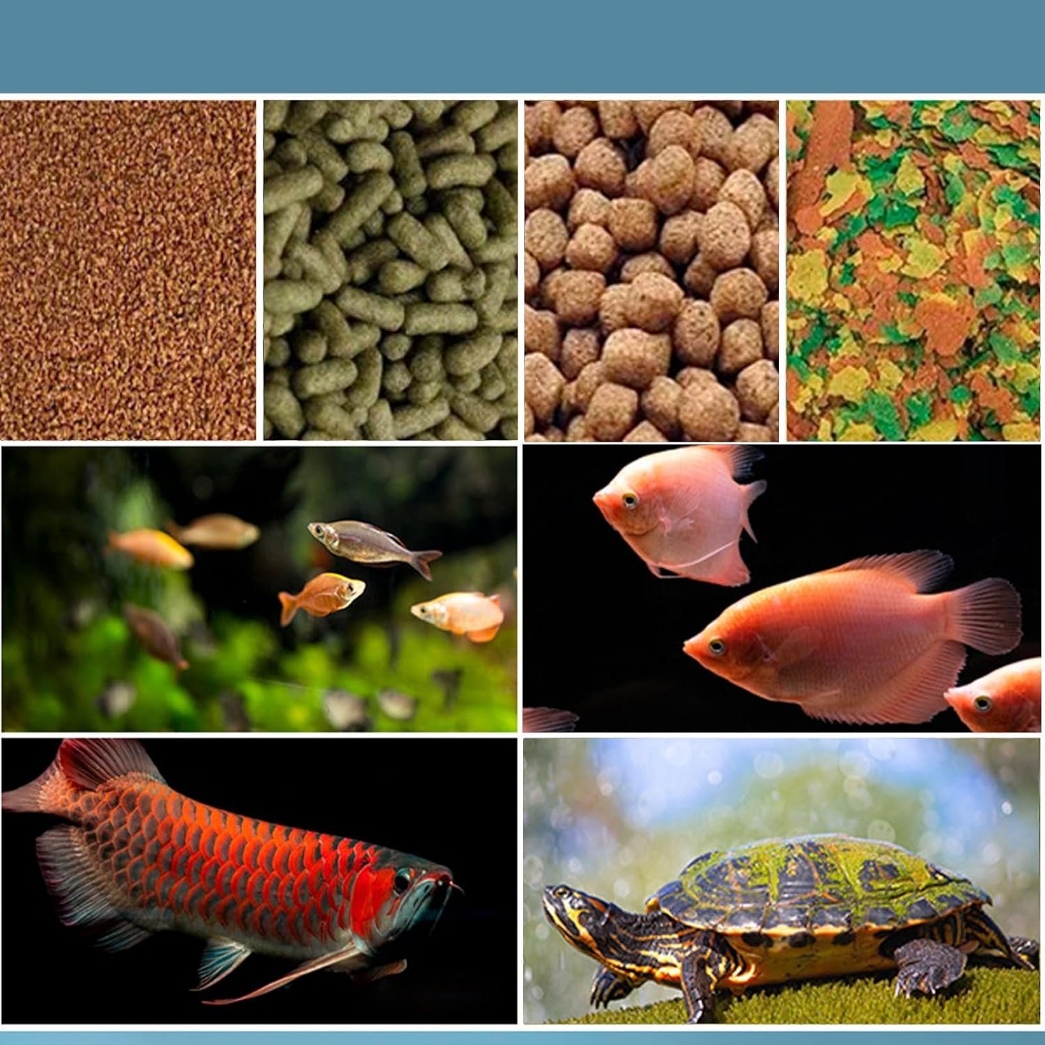 魚の餌の自動給餌器バケーションフィーダー|タイマー付き自動魚フィーダー - 熱帯魚、ベタ、海水魚、淡水魚、カメ用の水族館アクセサリー - 이미지 4