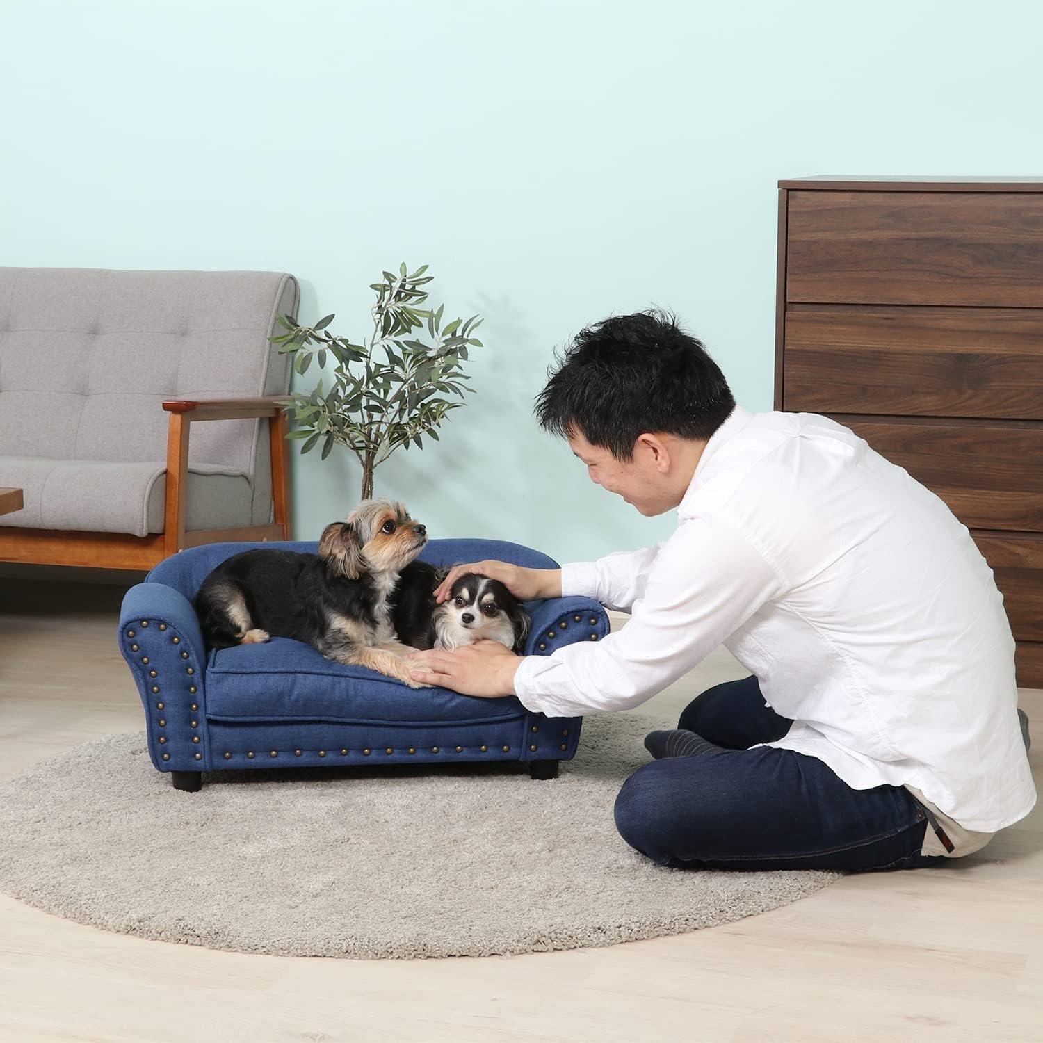 不二貿易 ペットベッド ペットソファ 幅74×奥行41×高さ32.5cm ブルー生地 チェスターフィールド風 小型犬猫用 Mサイズ 45232 - 이미지 8